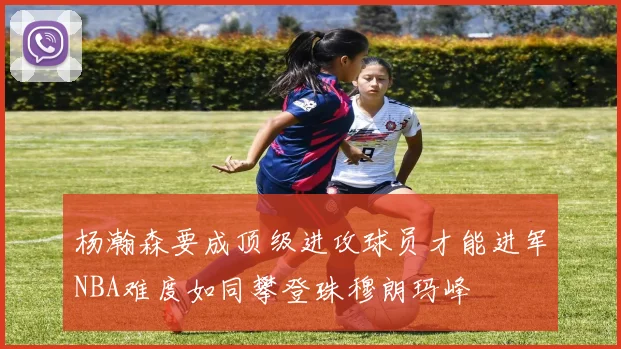 杨瀚森要成顶级进攻球员才能进军NBA难度如同攀登珠穆朗玛峰