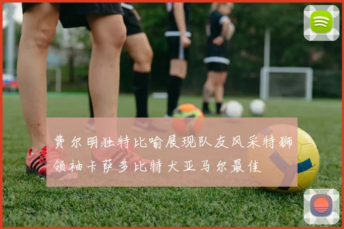 费尔明独特比喻展现队友风采特狮领袖卡萨多比特犬亚马尔最佳