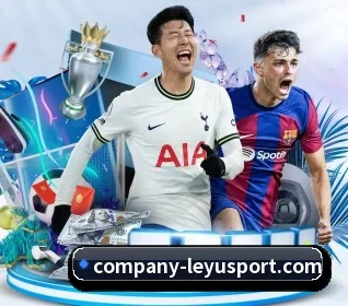 五大服务分区,信息按项目分类(leyu)